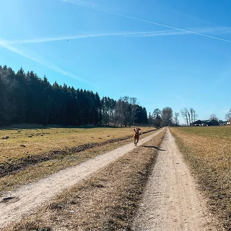 Apartment Your Base - Vacation & Work Close To Munich Dachau