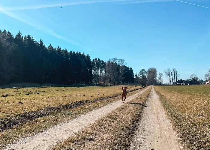 شقة Your Base - Vacation & Work Close To Munich داخاو